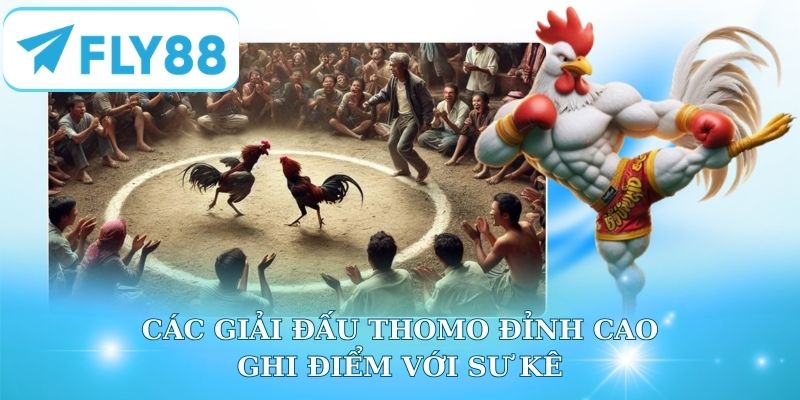 Các giải đấu đỉnh cao ghi điểm với sư kê