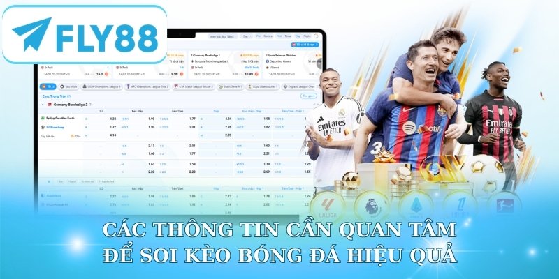 Các thông tin cần quan tâm để soi kèo bóng đá hiệu quả
