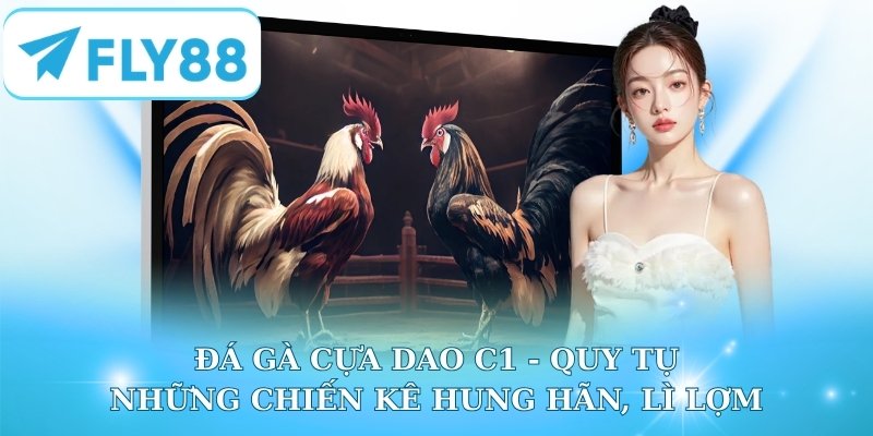 Đá Gà Cựa Dao C1 - Quy Tụ Những Chiến Kê Hung Hãn, Lì Lợm