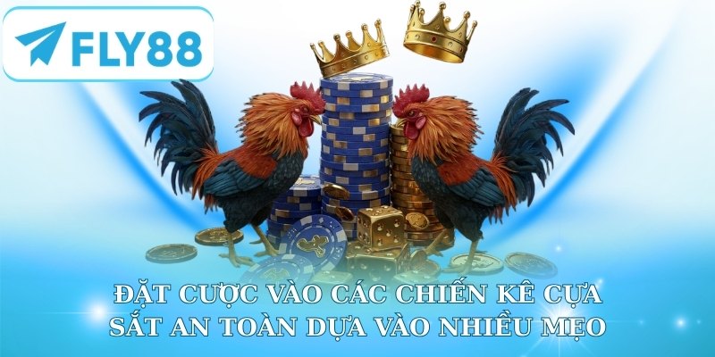 Đặt cược vào các chiến kê cựa sắt an toàn dựa vào nhiều mẹo