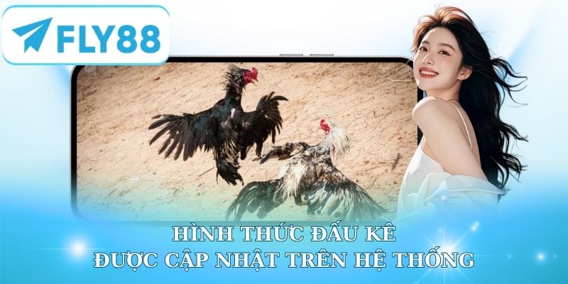 Đá gà Fly88 - Hình thức giải trí trực tuyến đáng trải nghiệm