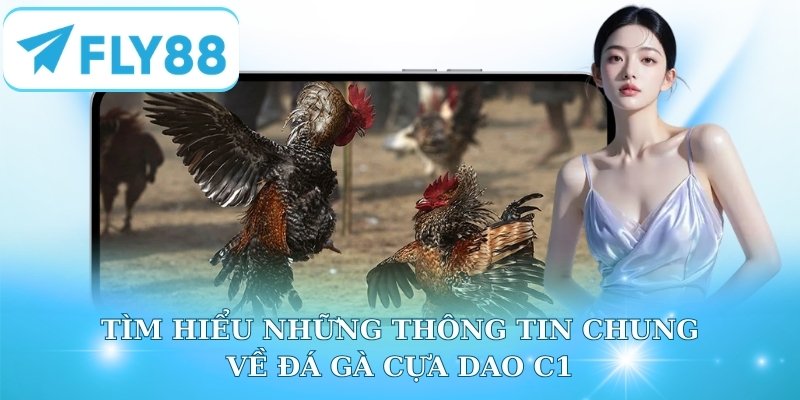 Tìm hiểu những thông tin chung về đá gà cựa dao C1
